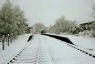 Winter 1981/2